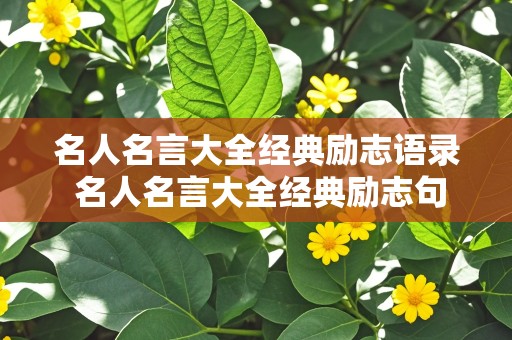 名人名言大全经典励志语录 名人名言大全经典励志句