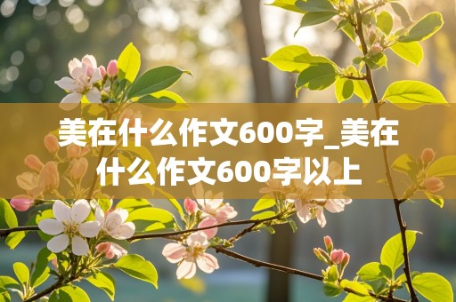 美在什么作文600字_美在什么作文600字以上