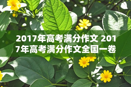 2017年高考满分作文 2017年高考满分作文全国一卷