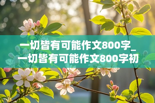 一切皆有可能作文800字_一切皆有可能作文800字初三