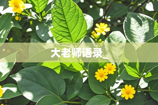 大老师语录_