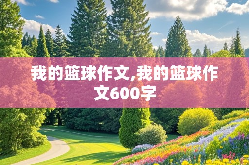 我的篮球作文,我的篮球作文600字