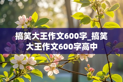 搞笑大王作文600字_搞笑大王作文600字高中