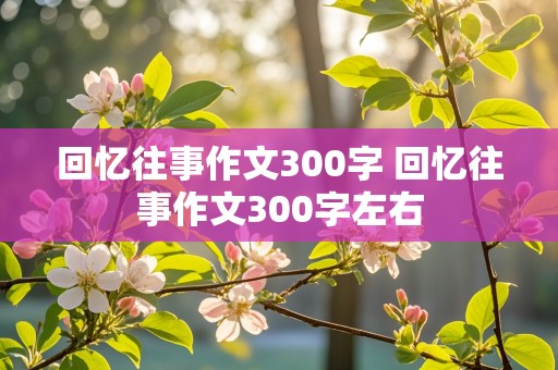 回忆往事作文300字 回忆往事作文300字左右