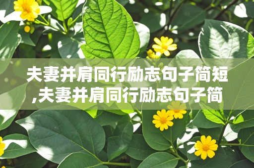 夫妻并肩同行励志句子简短,夫妻并肩同行励志句子简短普通话语