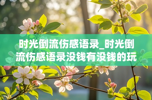 时光倒流伤感语录_时光倒流伤感语录没钱有没钱的玩法,后边你怎么回答