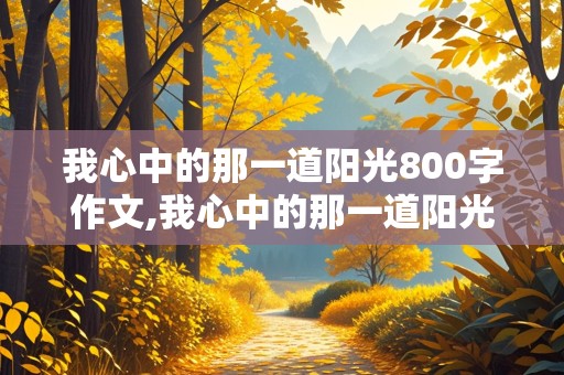 我心中的那一道阳光800字作文,我心中的那一道阳光800字作文亲情