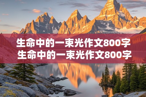 生命中的一束光作文800字 生命中的一束光作文800字高中