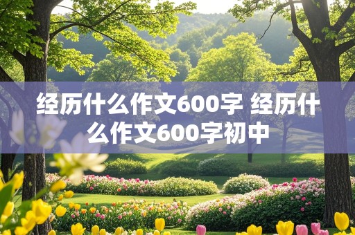 经历什么作文600字 经历什么作文600字初中