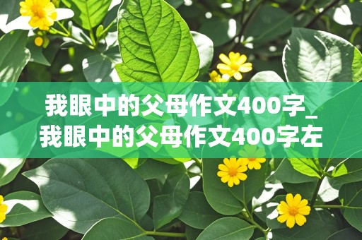 我眼中的父母作文400字_我眼中的父母作文400字左右