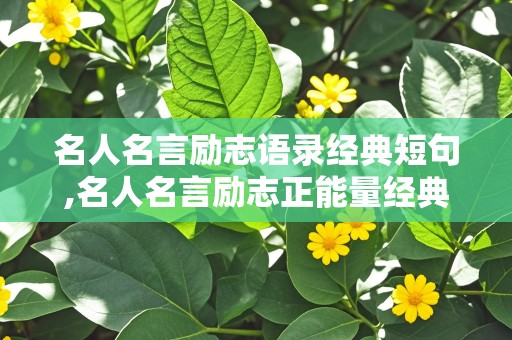 名人名言励志语录经典短句,名人名言励志正能量经典语录