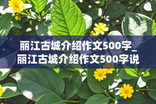 丽江古城介绍作文500字_丽江古城介绍作文500字说明文