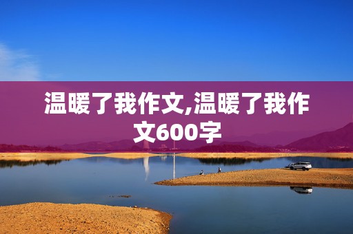 温暖了我作文,温暖了我作文600字