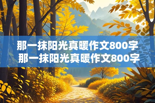 那一抹阳光真暖作文800字 那一抹阳光真暖作文800字初中