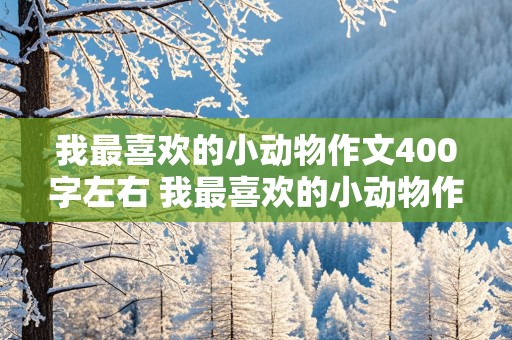 我最喜欢的小动物作文400字左右 我最喜欢的小动物作文400字左右小猫