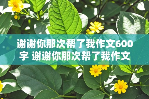 谢谢你那次帮了我作文600字 谢谢你那次帮了我作文600字初二