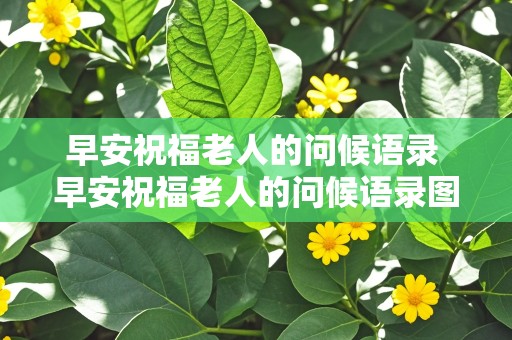 早安祝福老人的问候语录 早安祝福老人的问候语录图片