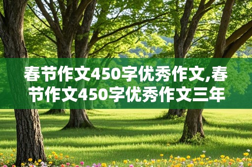 春节作文450字优秀作文,春节作文450字优秀作文三年级