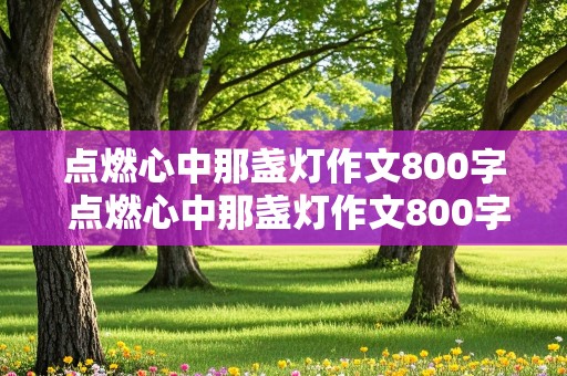 点燃心中那盏灯作文800字 点燃心中那盏灯作文800字记叙文