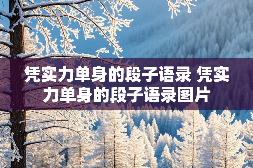 凭实力单身的段子语录 凭实力单身的段子语录图片