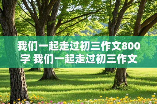 我们一起走过初三作文800字 我们一起走过初三作文800字怎么写