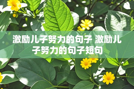 激励儿子努力的句子 激励儿子努力的句子短句