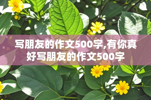 写朋友的作文500字,有你真好写朋友的作文500字