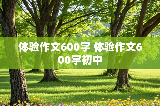 体验作文600字 体验作文600字初中