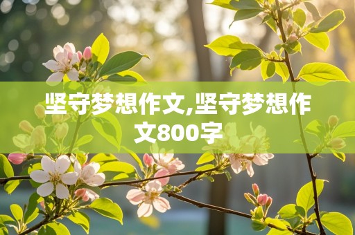 坚守梦想作文,坚守梦想作文800字