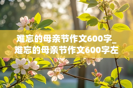 难忘的母亲节作文600字_难忘的母亲节作文600字左右