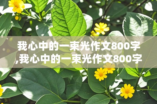 我心中的一束光作文800字,我心中的一束光作文800字写人