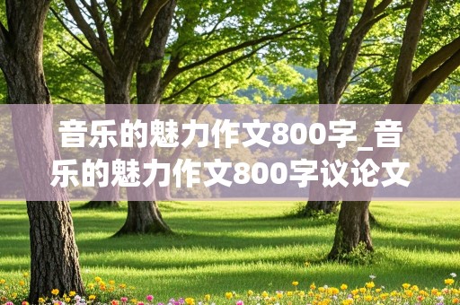 音乐的魅力作文800字_音乐的魅力作文800字议论文