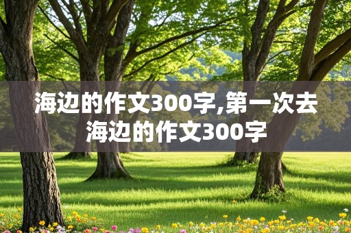 海边的作文300字,第一次去海边的作文300字