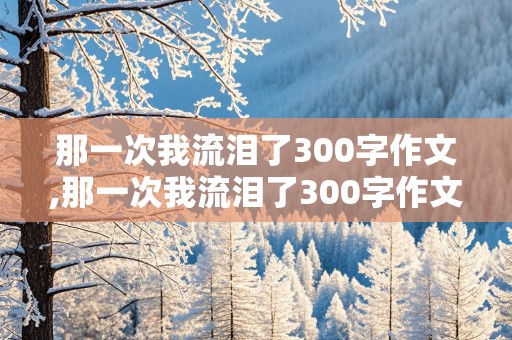 那一次我流泪了300字作文,那一次我流泪了300字作文高中