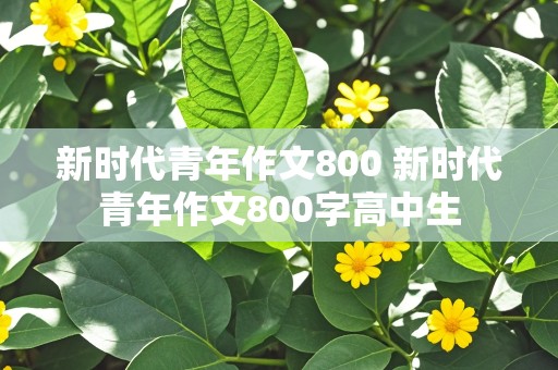 新时代青年作文800 新时代青年作文800字高中生