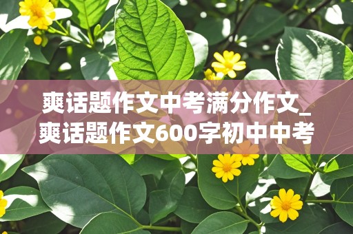 爽话题作文中考满分作文_爽话题作文600字初中中考