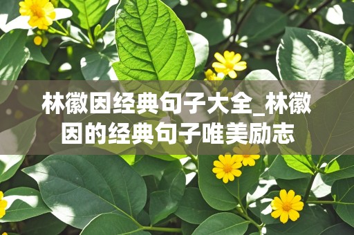 林徽因经典句子大全_林徽因的经典句子唯美励志