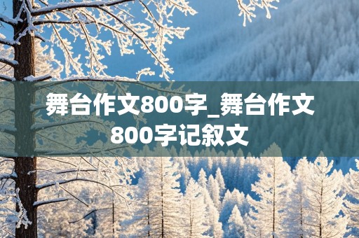 舞台作文800字_舞台作文800字记叙文