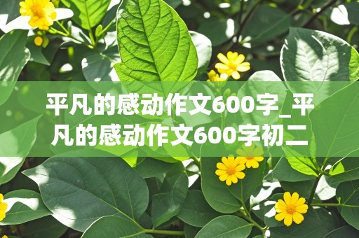 平凡的感动作文600字_平凡的感动作文600字初二