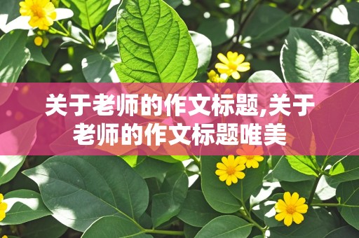 关于老师的作文标题,关于老师的作文标题唯美