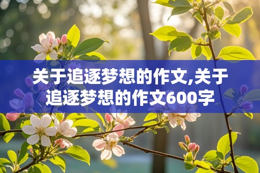 关于追逐梦想的作文,关于追逐梦想的作文600字