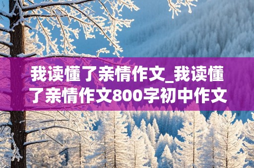 我读懂了亲情作文_我读懂了亲情作文800字初中作文