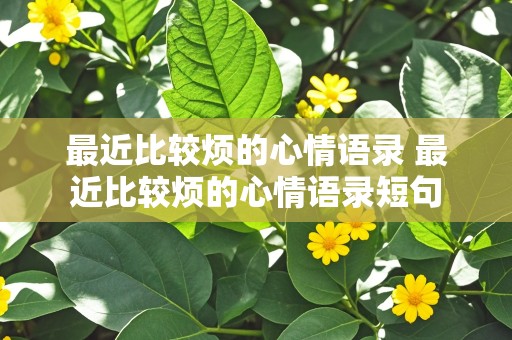 最近比较烦的心情语录 最近比较烦的心情语录短句