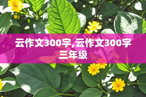 云作文300字,云作文300字三年级