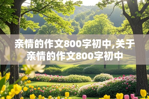 亲情的作文800字初中,关于亲情的作文800字初中