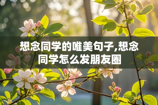 想念同学的唯美句子,想念同学怎么发朋友圈