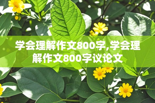 学会理解作文800字,学会理解作文800字议论文