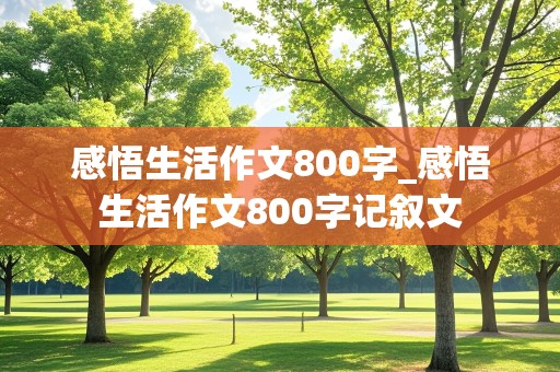 感悟生活作文800字_感悟生活作文800字记叙文