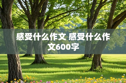 感受什么作文 感受什么作文600字