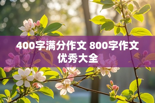 400字满分作文 800字作文优秀大全